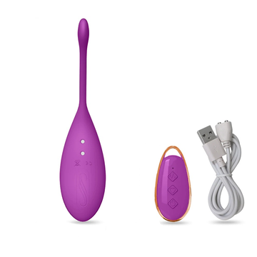 Wireless Remote Control Vibrating Egg / Sex Toys For Women / Female G-Spots Clitoris Stimulator - EVE's SECRETS
